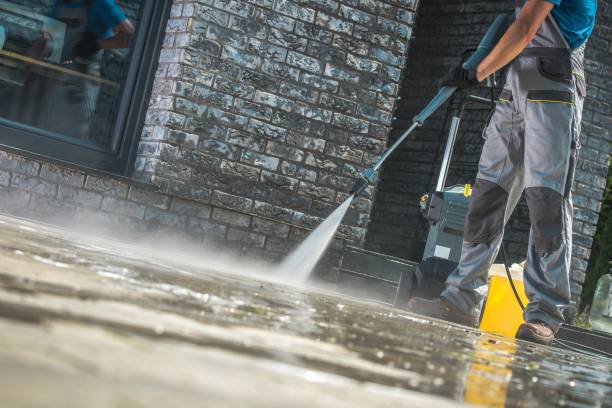 Animal Enclosure Cleaning in Holland, OH